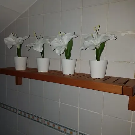 La Buhardilla