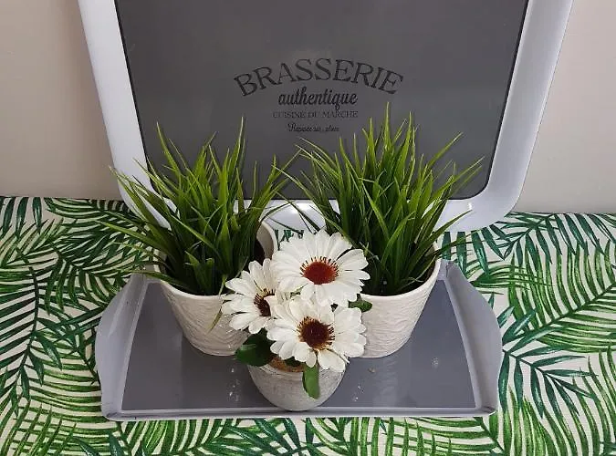 La Buhardilla Valladolid